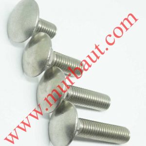 Baut CB Stainless 304 diameter 12mm