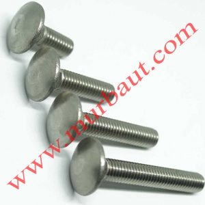 Baut CB Stainless 304 diameter 8mm