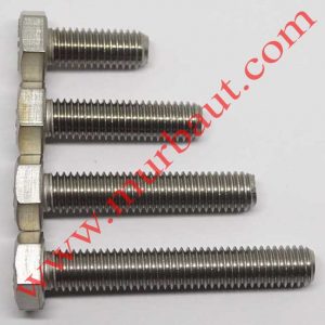 Baut Hex Stainless 304 diameter 10mm full drat