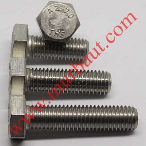 Baut Hex Stainless 304 diameter 18mm full drat