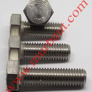 Baut Hex Stainless 304 diameter 22mm full drat