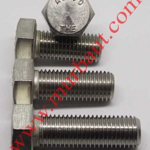 Baut Hex Stainless 304 diameter 27mm full drat