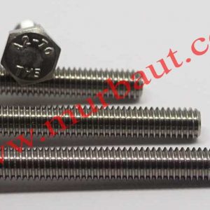 Baut Hex Stainless 304 diameter 6mm full drat