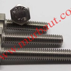 Baut Hex Stainless 304 diameter 8mm full drat