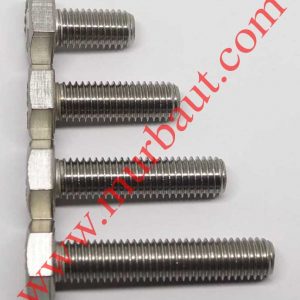 Baut Hex Stainless 316 diameter 10mm full drat
