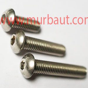 Baut L Button Stainless 304 diameter 10mm