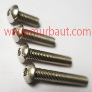 Baut L Button Stainless 304 diameter 8mm