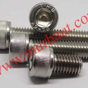 Baut L Stainless 304 diameter 22mm full drat