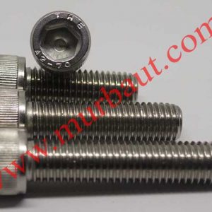 Baut L Stainless 304 diameter 30mm full drat