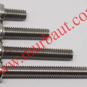 Baut L Stainless 316 diameter 10mm full drat