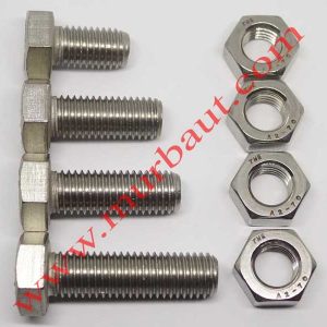 Baut Mur Hex Stainless 316 diameter 14mm full drat