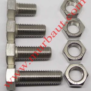 Baut Mur Hex Stainless 316 diameter 16mm full drat