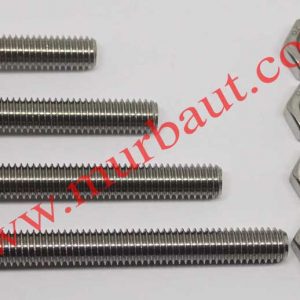 Baut Mur Hex Stainless 316 diameter 1/4 inchi full drat