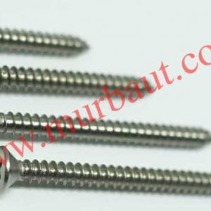 Sekrup tapping Stainless FAB kepala 4