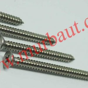 Sekrup tapping Stainless FAB kepala 8