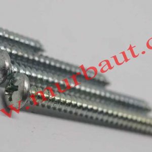 Sekrup tapping JP PAB kepala 6