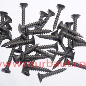 skrup gypsum dry wall