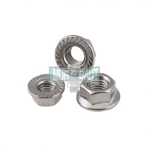 Flange Nut / Mur Flange SS304