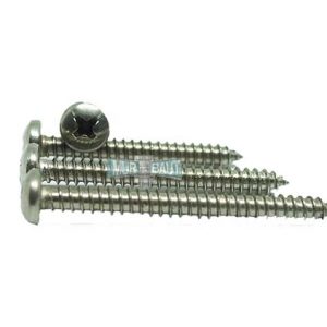sekrup tapping stainless kepala bulat PAB